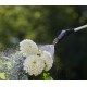 EasyPump nyomáspermetező 5 liter